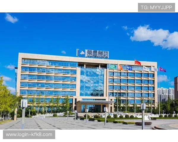 K8凯发官网代接服务详细指南，帮助新手快速上手稳定盈利的实用技巧