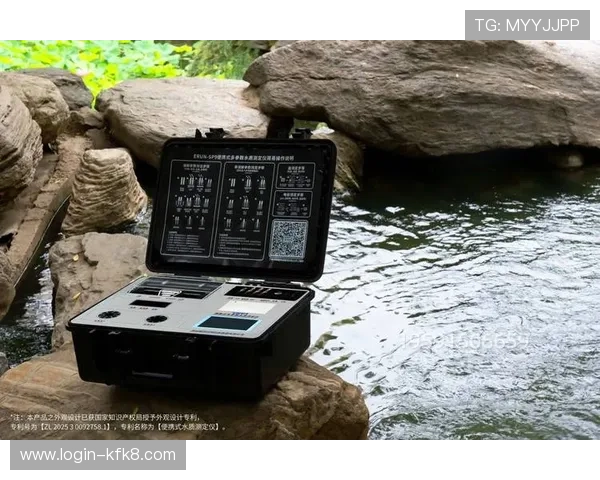 澳门电子游戏行业面临的主要挑战与应对策略全面解读